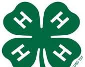 4-H Club Logo